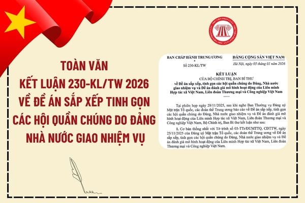 Pháp luật