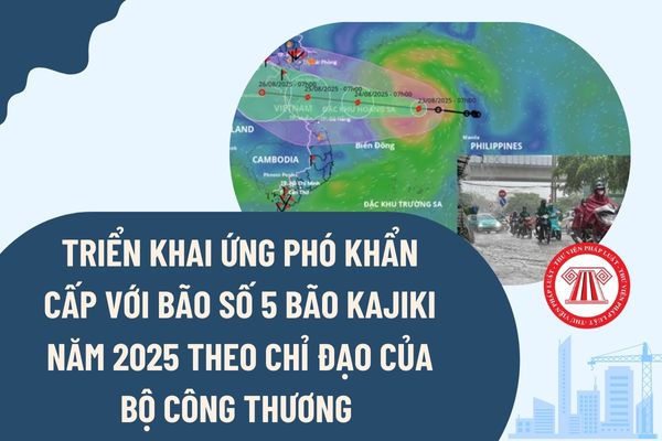 Pháp luật
