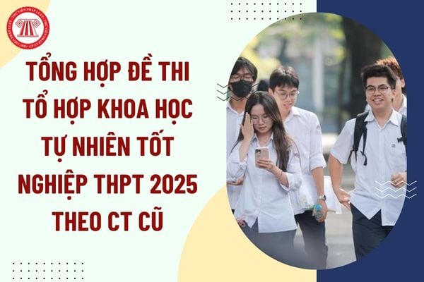 Pháp luật