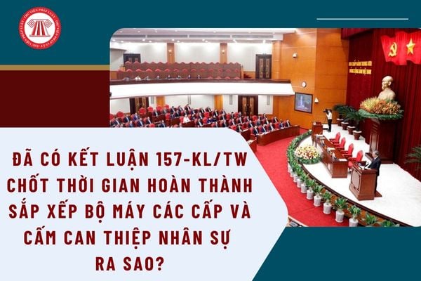 Pháp luật