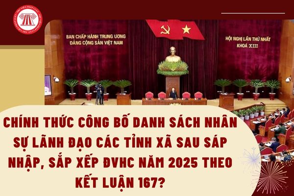 Pháp luật