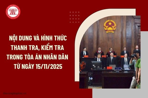 Pháp luật