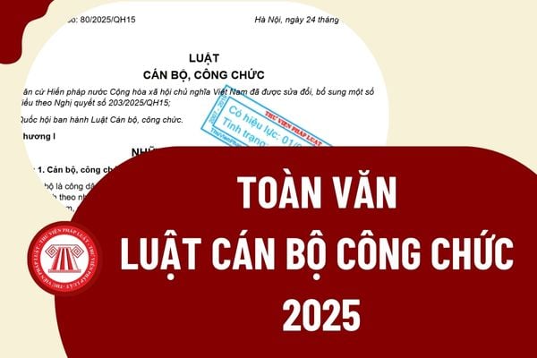 Pháp luật