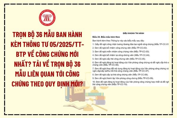 Pháp luật
