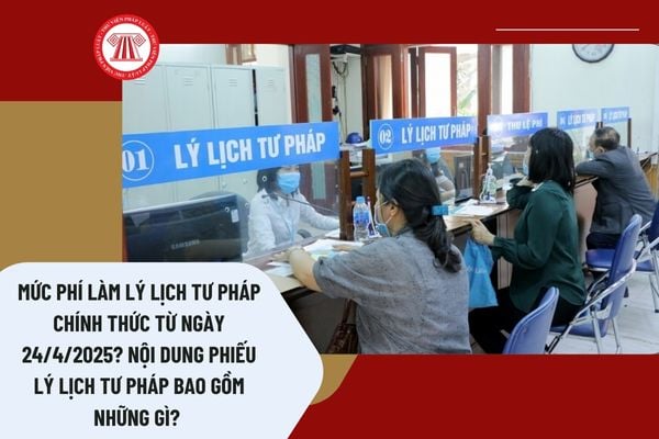 Pháp luật
