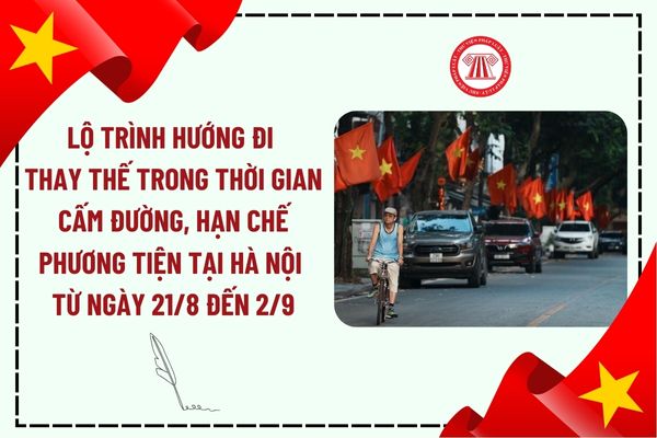 Pháp luật