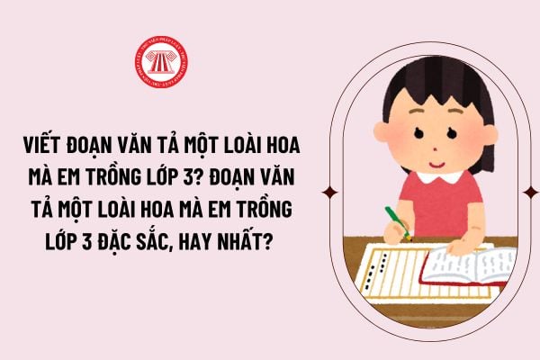 Viết đoạn văn tả một loài hoa mà em trồng lớp 3? Đoạn văn tả một loài hoa mà em trồng lớp 3 đặc sắc, hay nhất? 