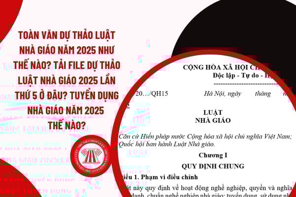 Pháp luật
