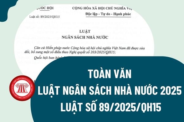 Pháp luật