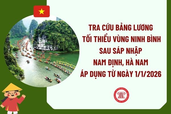Pháp luật