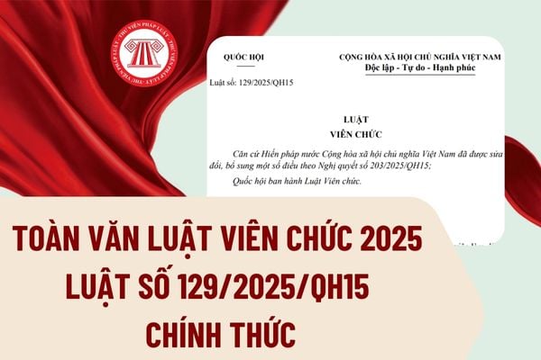 Pháp luật