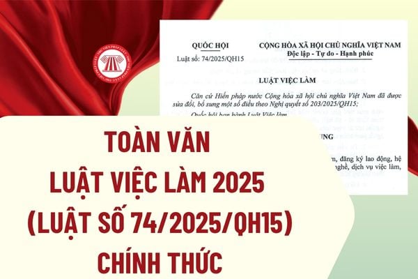 Pháp luật