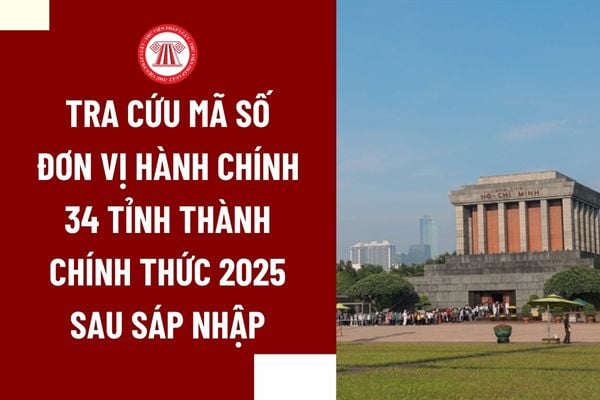 Pháp luật
