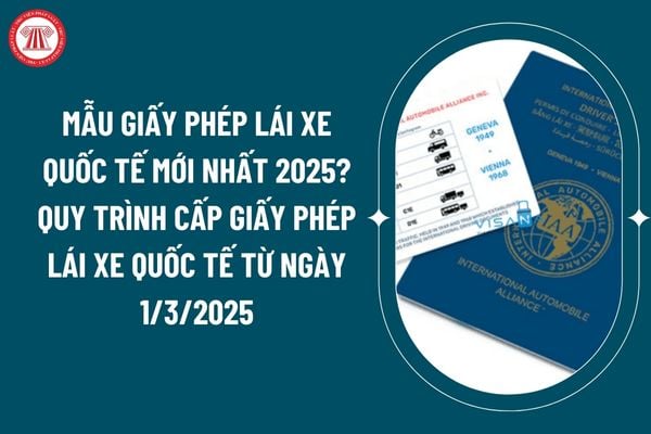 Mẫu giấy phép lái xe quốc tế mới nhất 2025? Quy trình cấp giấy phép lái xe quốc tế từ ngày 1/3/2025?