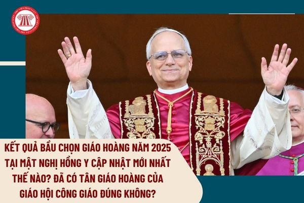 Pháp luật