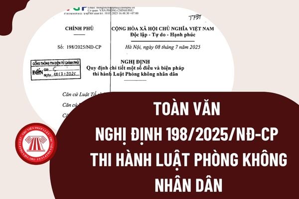 Pháp luật