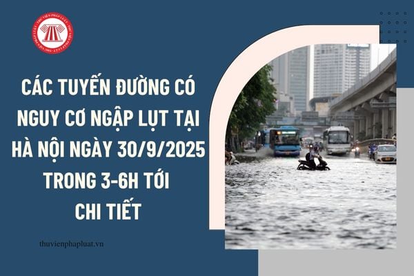 Pháp luật