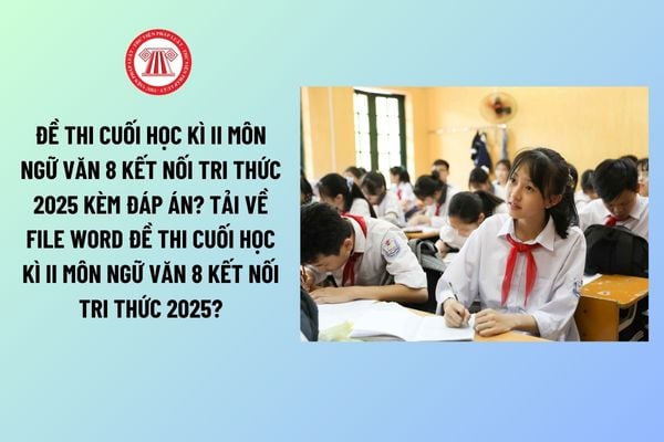 Pháp luật