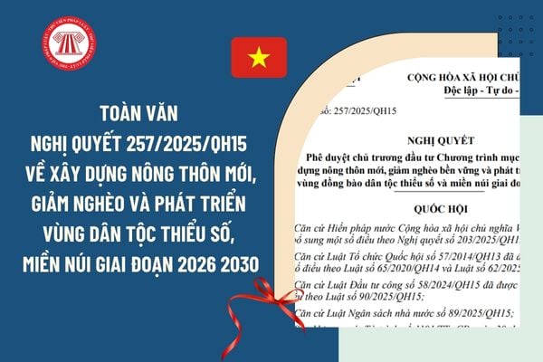 Pháp luật
