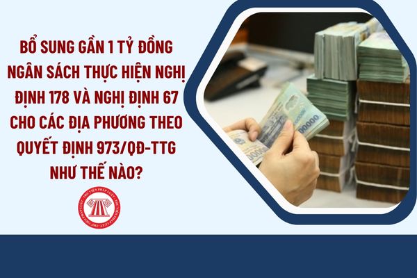 Pháp luật