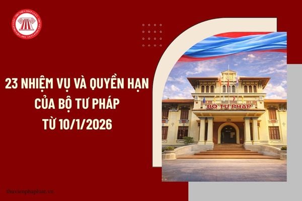 Pháp luật