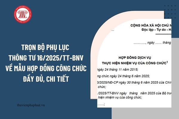 Pháp luật