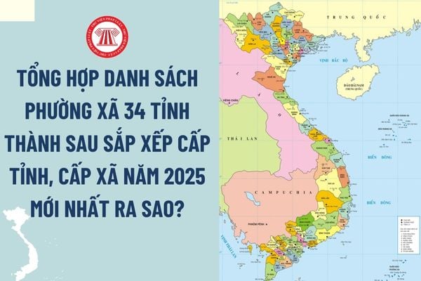 Pháp luật