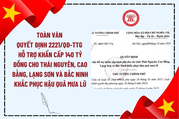 Pháp luật
