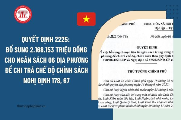 Pháp luật