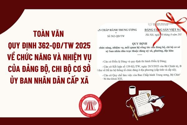 Pháp luật