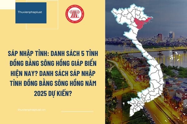 Pháp luật
