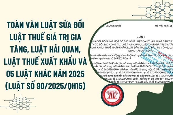 Pháp luật