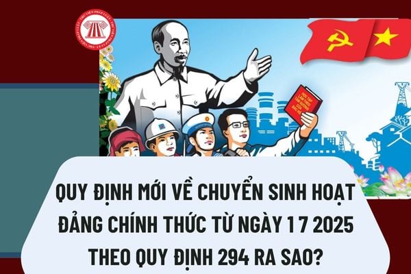 Pháp luật
