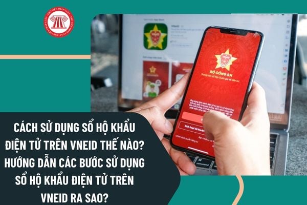 Pháp luật