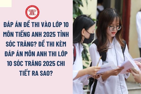 Pháp luật