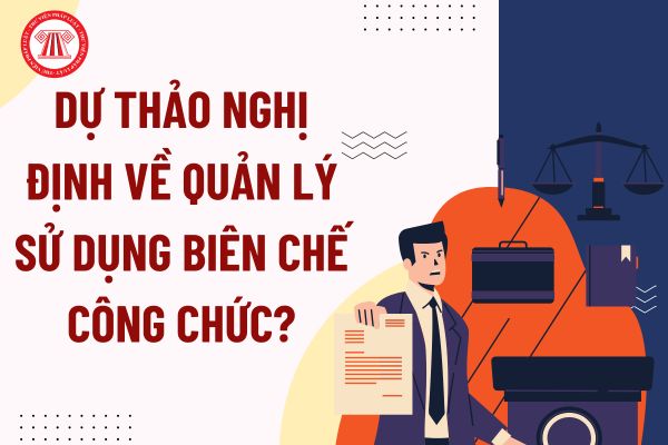 Pháp luật