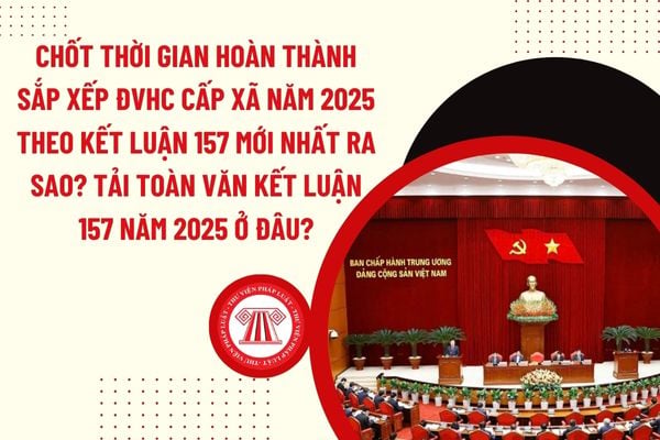 Pháp luật