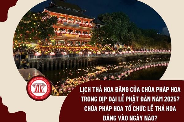 Pháp luật