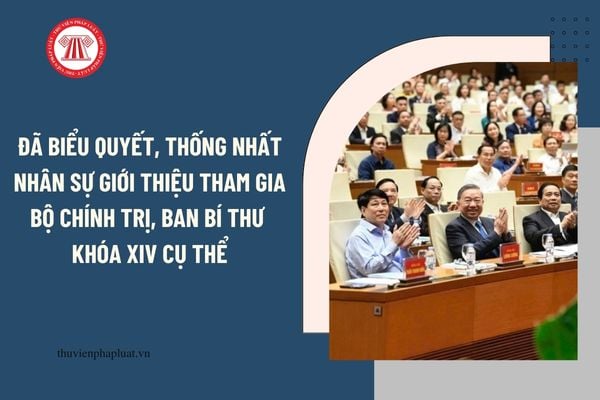 Pháp luật