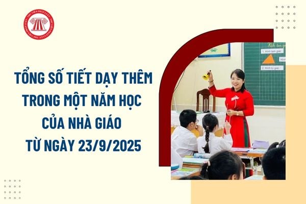Pháp luật