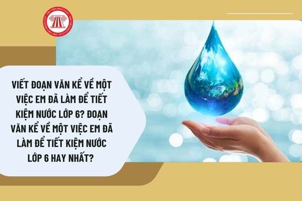 Viết đoạn văn kể về một việc em đã làm để tiết kiệm nước lớp 6? Đoạn văn kể về một việc em đã làm để tiết kiệm nước lớp 6 hay nhất? 