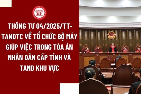 Pháp luật