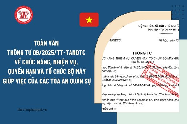 Pháp luật
