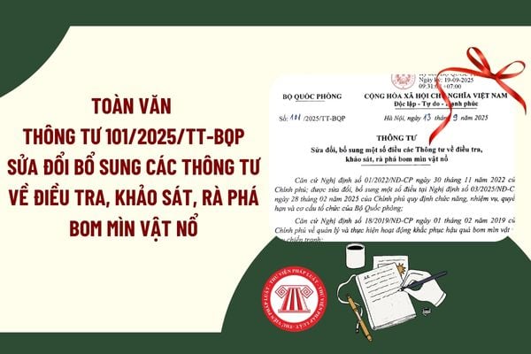 Pháp luật