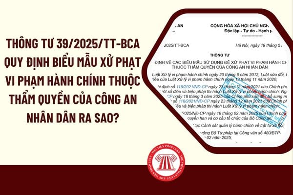 Pháp luật