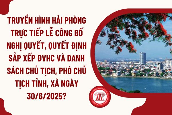 Pháp luật