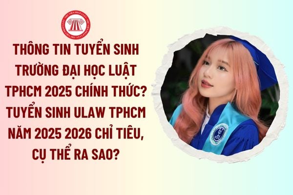 Pháp luật
