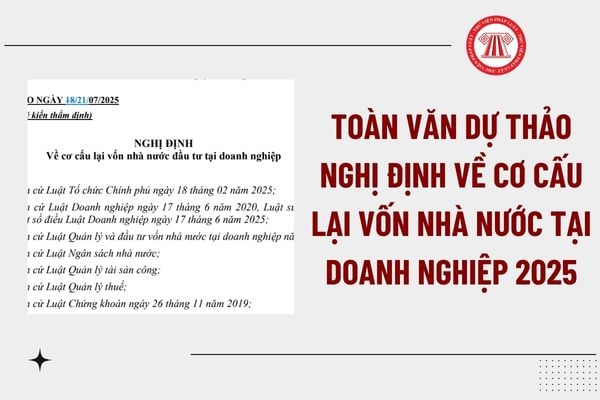 Pháp luật