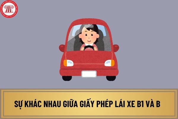 Sự khác nhau giữa giấy phép lái xe B1 và B từ 01/01/2025? So sánh phân hạng giấy phép lái xe hiện hành và từ năm 2025?