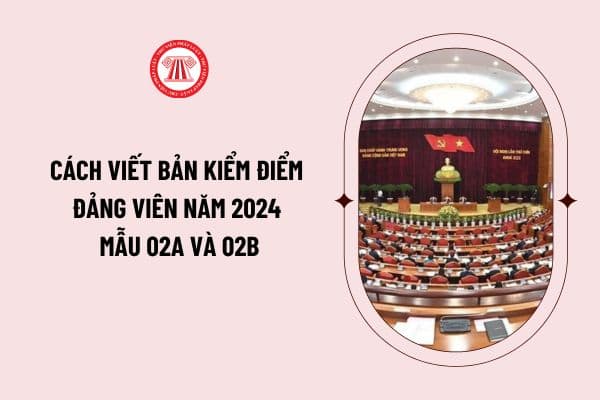 Cách viết bản kiểm điểm Đảng viên năm 2024 mẫu 02A và 02B chi tiết từng mục như thế nào? Tải mẫu 02A và 02B ở đâu?